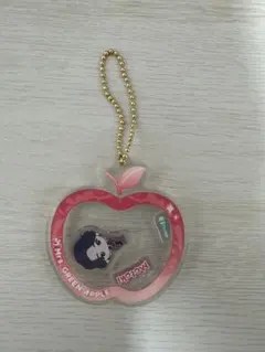 Mrs. GREEN APPLE 一番くじ E賞 シャカシャカアクリルチャーム