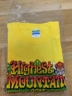 【激レア】値下げ！MURAL ミューラル ハイエストマウンテン WネームTシャツのサムネイル