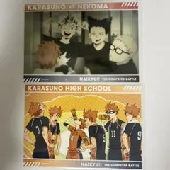 Item thumbnail for item 076a7193-7796-43da-a8c6-a3efc98c66b5