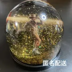 浅田真央 ビヨンド　BEYOND　2023　スノードーム　キラキラ