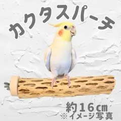 鳥用品 止まり木 カクタス スケルトン パーチ 中細 No.591 - メルカリ