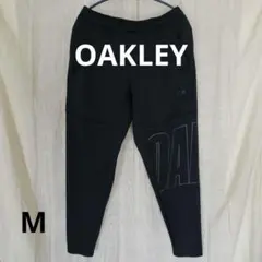 Item thumbnail for item 54df9fc3-4cae-4574-b733-d8cba959fb2f