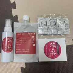 お値下げしました】椎名林檎(生)林檎博08プレミアムチケットお土産