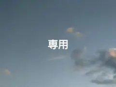 専用