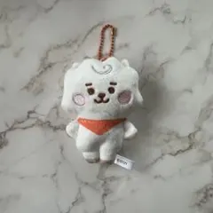 BT21 Fuwa Fuwa Mascot★2 RJ