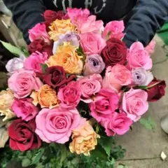 シックな春の切花セット ラナンキュラス スカビオサ 生花 ネコポス