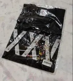 B'z ENDLESS SUMMER Tシャツ