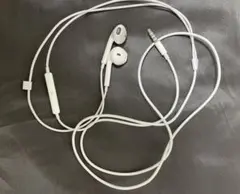 Apple 純正有線イヤホンジャック Type-Cのサムネイル