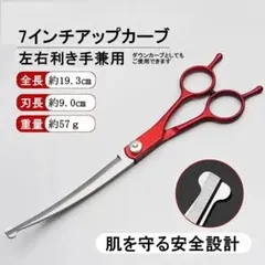 Item thumbnail for item c5bbc71c-a63d-4f0a-87ad-55ac1df5d18e