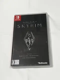 The Elder Scrolls V: Skyrim (Switch)