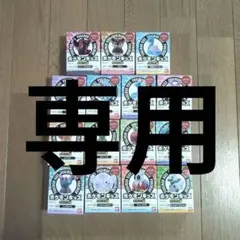 ポケモンキッズ テラパゴス編 コンプリート 15個セット