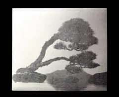 山本昌男 「手中一滴」 直筆サイン入り限定品T&M Projects 盆栽