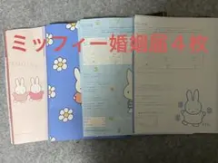 ゼクシィ ミッフィー 婚姻届 4枚セット