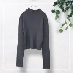 【グレイル】ハイネッククロップド丈ニットトップス(L)タイトリブ　グレー