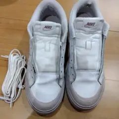 NIKE スニーカー　汚れ、破れあり　25センチ
