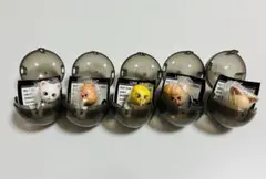 新品 skzoo つまんでつなげてますこっとでらっくす セット売り