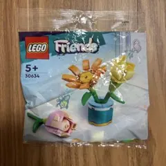 LEGO Friends 花のセット 30634