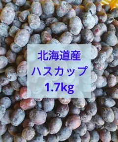 無農薬ハスカップ2026年産1キロ 無農薬限定生ハスカップ2026年度産はじまりました - メルカリ