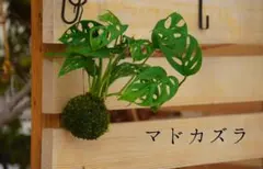 メルシー様 リクエスト 3点 まとめ商品