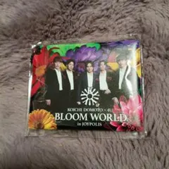 ジョイポリス BloomWorld 堂本光一 ふぉ〜ゆ〜 パスケース　グッズ 新品 ジョイポリス ふぉ～ゆ～ 堂本光一 非売品 オリジナル パスケース