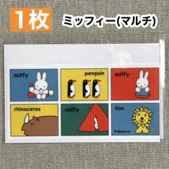 【1枚】ミッフィー ＜マルチ＞ マイナンバーカードケース