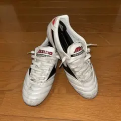 2025年最新】モレリア2 25.5の人気アイテム - メルカリ