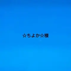 ☆ちよか☆様専用