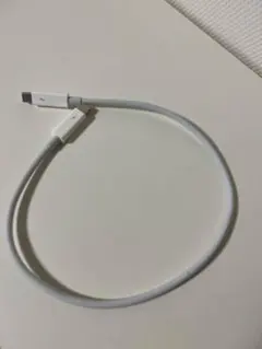Apple純正 Thunderbolt （0.5ｍ） ケーブル