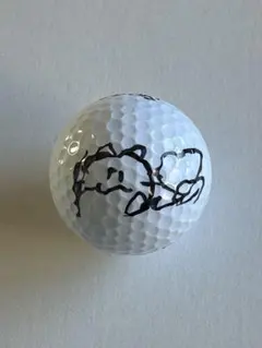 2026年最新】菅沼菜々 サインの人気アイテム - メルカリ