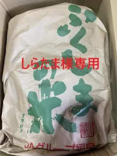 しらたま様専用