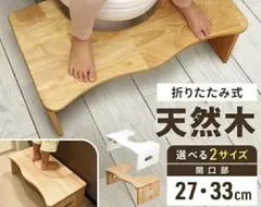 Item thumbnail for item 2d238081-509d-4422-91fb-077d1491e873