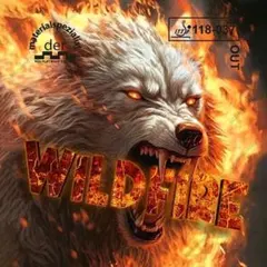 卓球 ラバー アンチ　表ソフト WILD FIRE　 ワイルドファイア Ｖ４