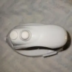 日本でも海外でも使える mini ミストアイロン