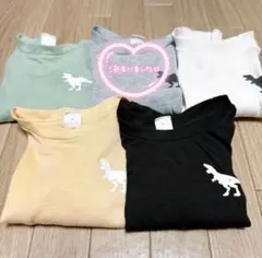 恐竜プリント 長袖 Tシャツ 保育園 幼稚園 5枚セット 9～12ヶ月