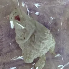 釣り日和5 5.ペルシャ