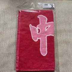 Item thumbnail for item 74ddd0f9-074b-4edc-b590-eb1604961c68