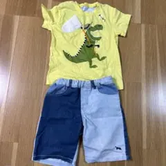kladskap 120 上下セット　昆虫のサムネイル