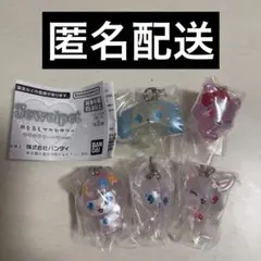 ジュエルペット　めじるしアクセサリー　オーロラバージョン　コンプリートセット
