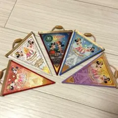 ディズニー　40周年ガーランド　セット