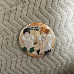 【公式】ハイキュー‼︎ 日向翔陽　缶バッジ