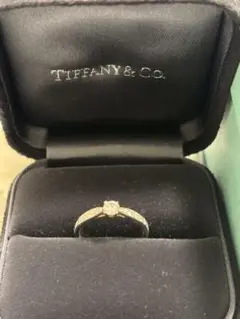 新品 正規品 エルサ・ペレッティ ダイヤ0.10ct＆プラチナ フープ 