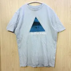 アメリカンイーグル フォトプリント Tシャツ クルーネック半袖 XS 浅青 綿