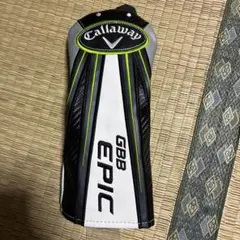 Item thumbnail for item 226bdd27-c9af-49b8-86ec-1c15eb62862c