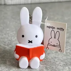 アトリエピエール　miffy ミッフィー リーディング　キーホルダーのサムネイル