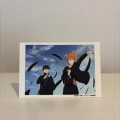 ハイキュー!! 日向翔陽 影山飛雄