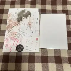 新書館 セブンティーンシロップス