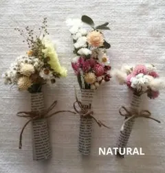 Item thumbnail for item 582410f7-1f3b-406b-b1ac-50a0051febbe