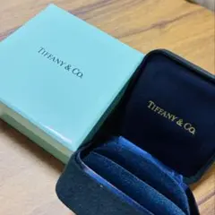 Tiffany & Co. ジュエリーボックス 巾着袋セット - メルカリ