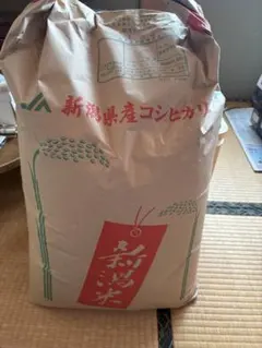 2026年最新】玄米 30Kg 令和6年の人気アイテム - メルカリ