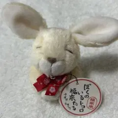 ぼくのいるトコロ福来たる　ナオズ　ぬいぐるみ　うさぎ　希少品